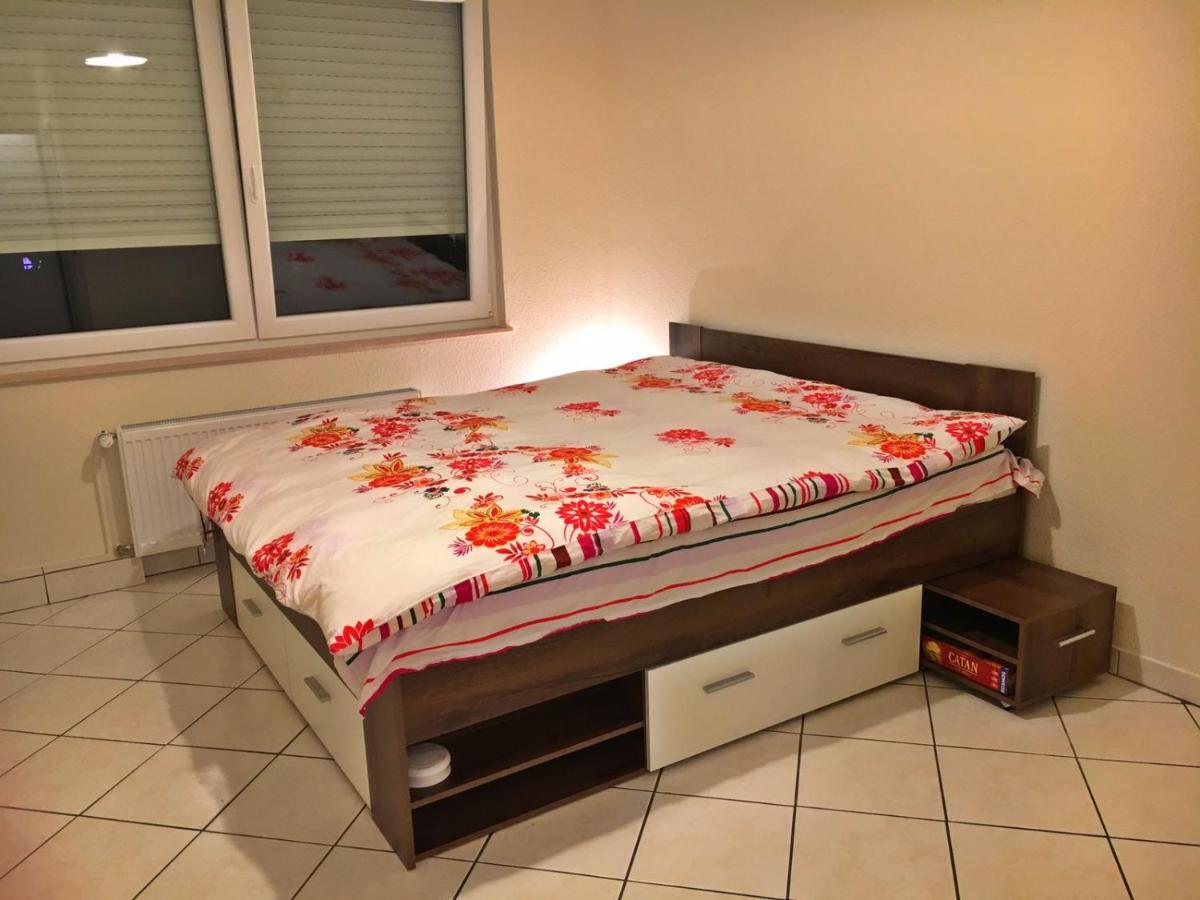 Cozy Studio Apart - King Bed - Netflix - Projector - Fast Wi-Fi Luxemburg Kültér fotó